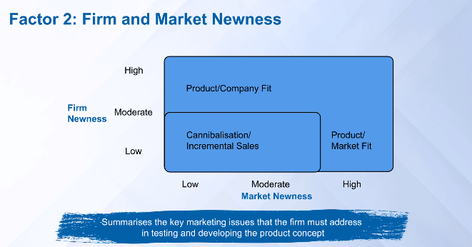Firm and Market Newness